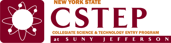 Image of the CSTEP logo